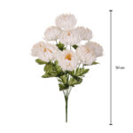 R. CRISANTEMO SEMILLA