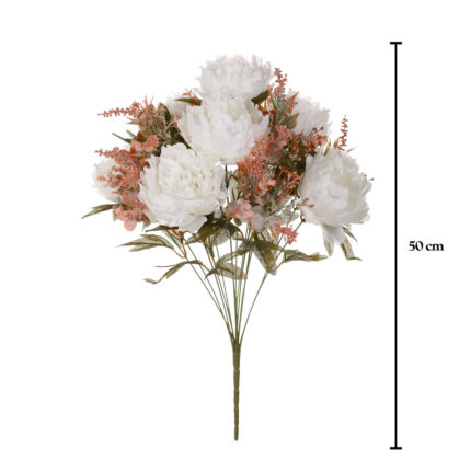 R. PEONIAS SILVESTRE