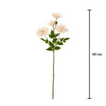 VARA PEONIA ARBOREA X4