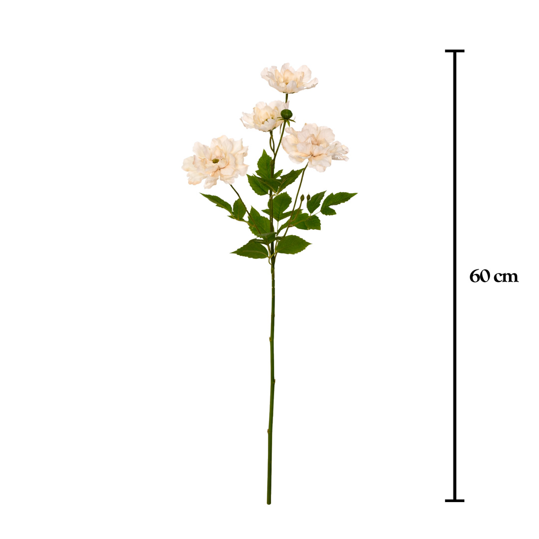 VARA PEONIA ARBOREA X4