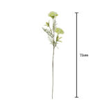 VARA ALLIUM LIECHA X3