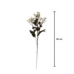 VARA MANZANILLA OTOÑAL