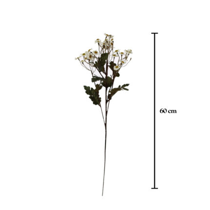 VARA MANZANILLA OTOÑAL