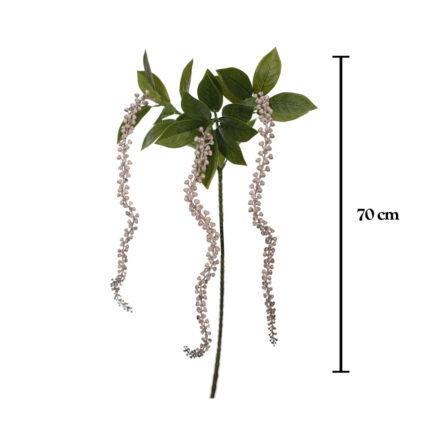 VARA AMARANTHUS