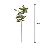 VARA HOJA BANIANO 81CM