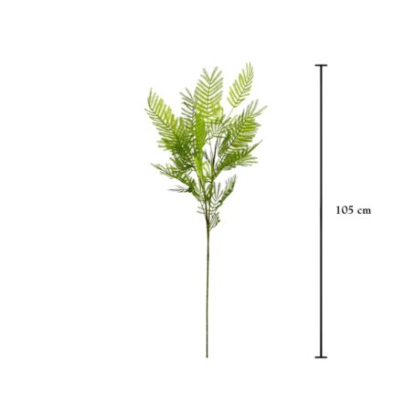 VARA HOJA MIMOSA