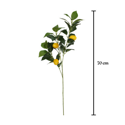 VARA LIMONERO