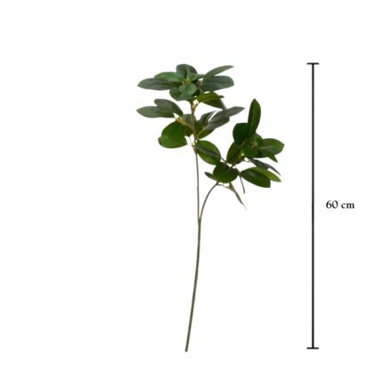 VARA HOJA FICUS ELASTICA