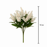 R. ASTILBE