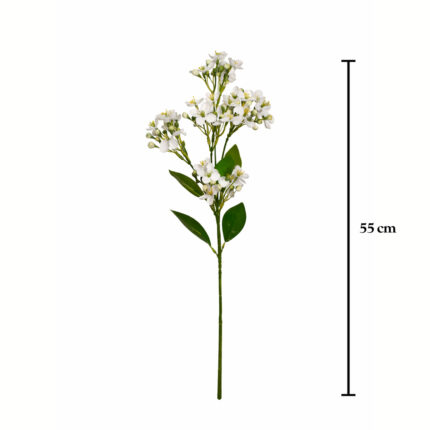 VARA ALYSSUM
