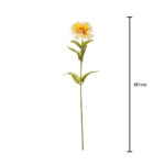 DALIA CON SEMILLA