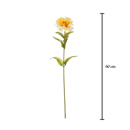 DALIA CON SEMILLA