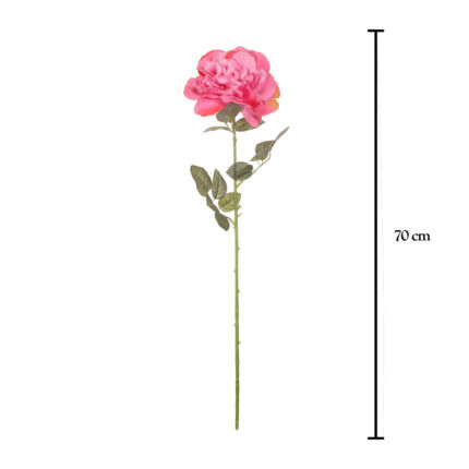 VARA ROSA SEMILLA PLANA