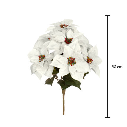 R. POISENTIA