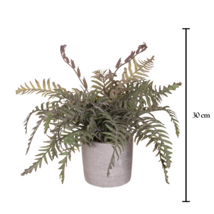 MACETA FILICOPSIDA 30CM