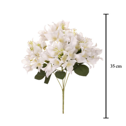 R. BUGANVILLA *FUXIA