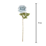 ROSA GIGANTE X1