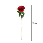 ROSA X1 * ROSA
