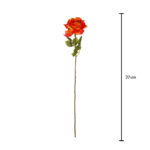 ROSA X1 VUELTA* ROSA