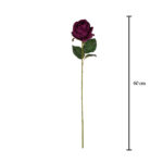 VARA ROSAS* ROSA