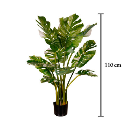 MONSTERIA 110CM