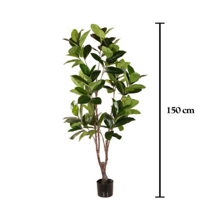 MAGNOLIA 150CM