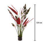 STRELITZIA REGINAE 120CM