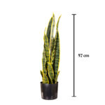 SANSIVIERA 57CM