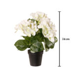 PLANTA HYDRANGEA 35CM