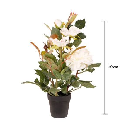 ROSAL 40CM
