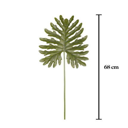 VARA PHILODENDRON 68CM