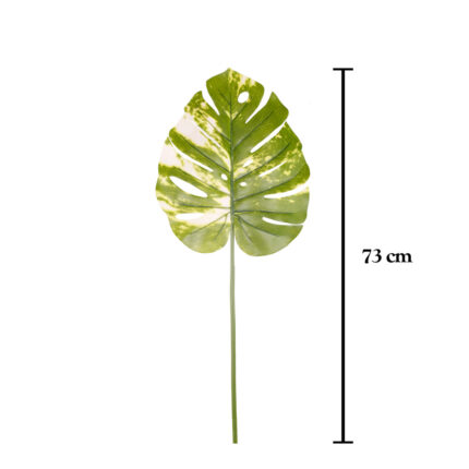 VARA MONSTERIA 73CM