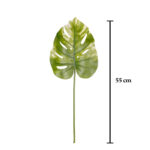 VARA MONSTERIA 55CM