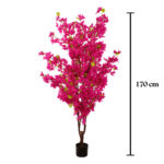 ARBOL BUGANVILLA 170CM