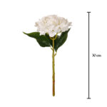V.HORTENSIA TALLO CORTO *FUXIA
