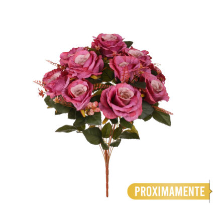 R.ROSAS SEDA *FUXIA