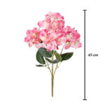 R.HORTENSIA MACROPHYLLA *FUXIA