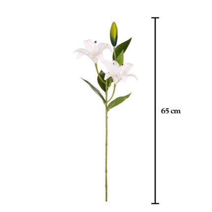 VARA LILIUM PRIMAVERAL