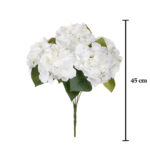 R.HORTENSIAS ANTIQUE