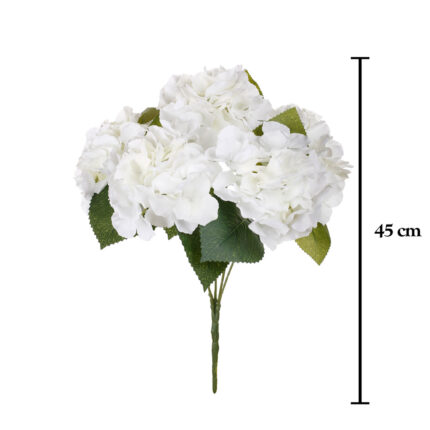 R.HORTENSIAS ANTIQUE