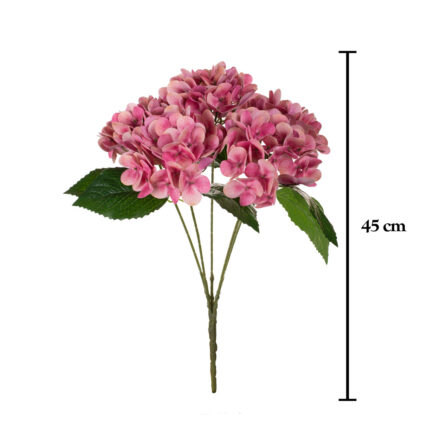 R.HORTENSIAS PRIMAVERAL