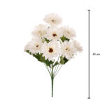R.GERBERA BONIATANA