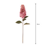 VARA HORTENSIA SEMILLA ALARG.