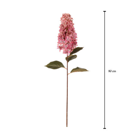 VARA HORTENSIA SEMILLA ALARG.