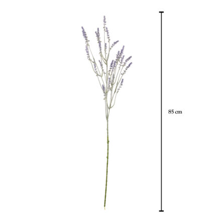 VARA LAVANDULA