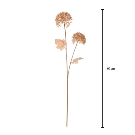 VARA ALLIUM X2 HOJAS