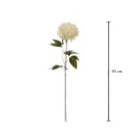 VARA PEONIA FLEMING