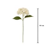VARA HORTENSIA MACROPHYLLA