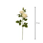 VARA ROSA GRANDIFLORA X2