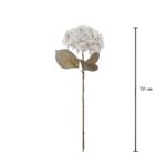 VARA HORTENSIA OTOÑAL